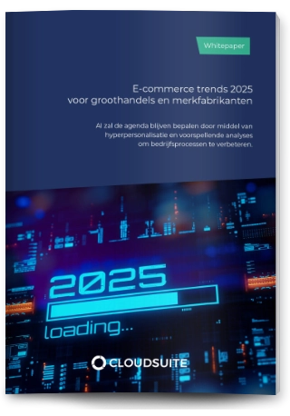 E-commerce trends 2025 voor groothandels en merken