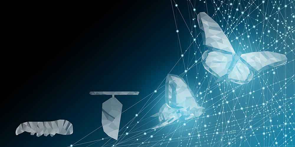 Afbeelding WP digitale transformatie