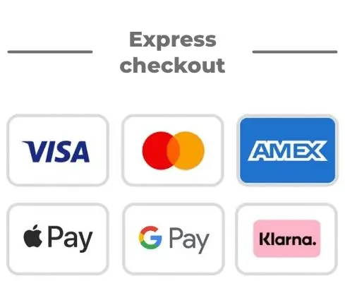 Express checkout