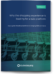 Why the shopping experience is leading for a B2B platform whitepaper